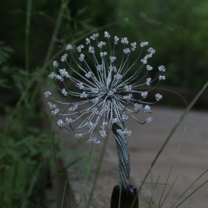 FlexiFlower, Das wunderschöne Immer währende Puzzle