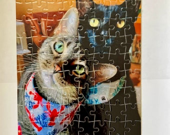 Puede incluir: Un rompecabezas completo con dos gatos. Uno es gris y marrón con ojos verdes y una bandana roja y azul. El otro es negro con ojos amarillos y una bandana azul. El rompecabezas está sobre una superficie blanca.
