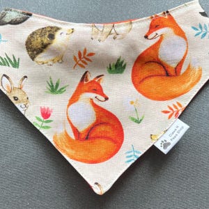 キツネの森のペット用バンダナ、キツネのペット用バンダナ、キツネのペット用バンダナ、森のペット用蝶ネクタイ、パニュエロ ボスケ ペロ オ ガト