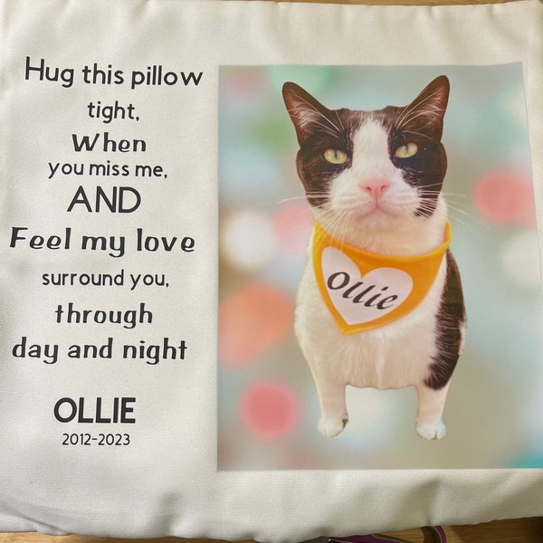 Custom Pillow With Your Fur Baby Picture, Loss of Cat Memorial Custom Pillow, Loss of Dog Memorial Custom Pillow, Rainbow Pet Lovers Pillow