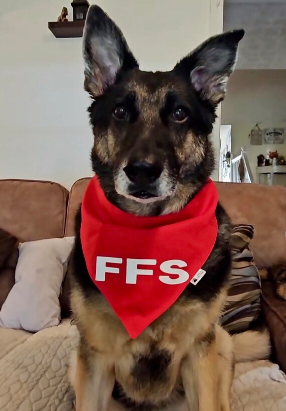 German shepherd bandana discount