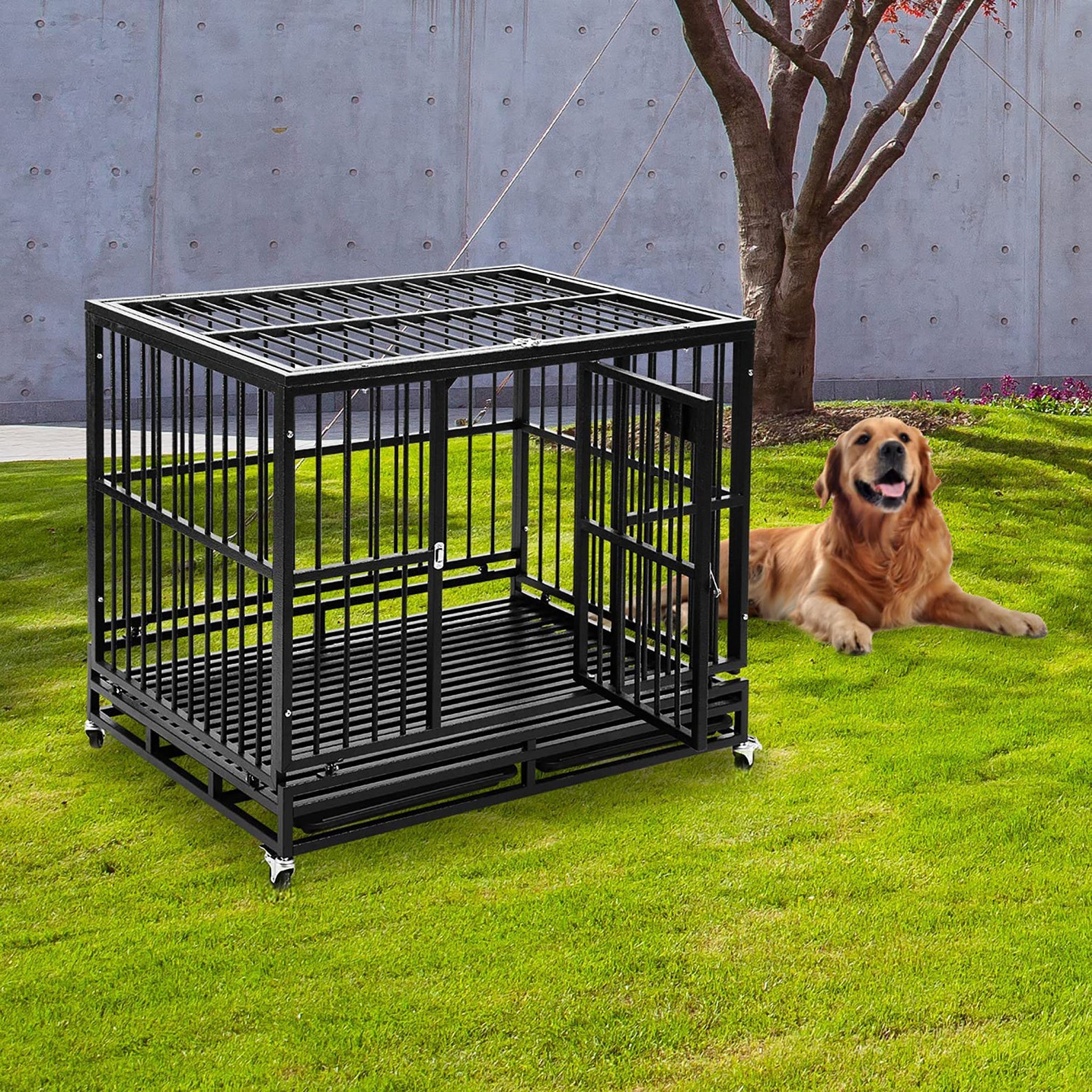 Metal dog play yard Clearance