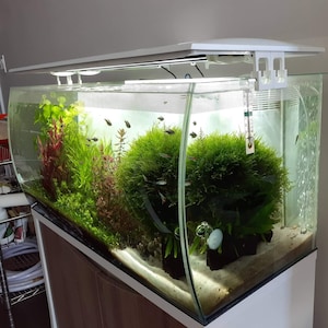 Fluval Flex 32.5G 蓋ライザー
