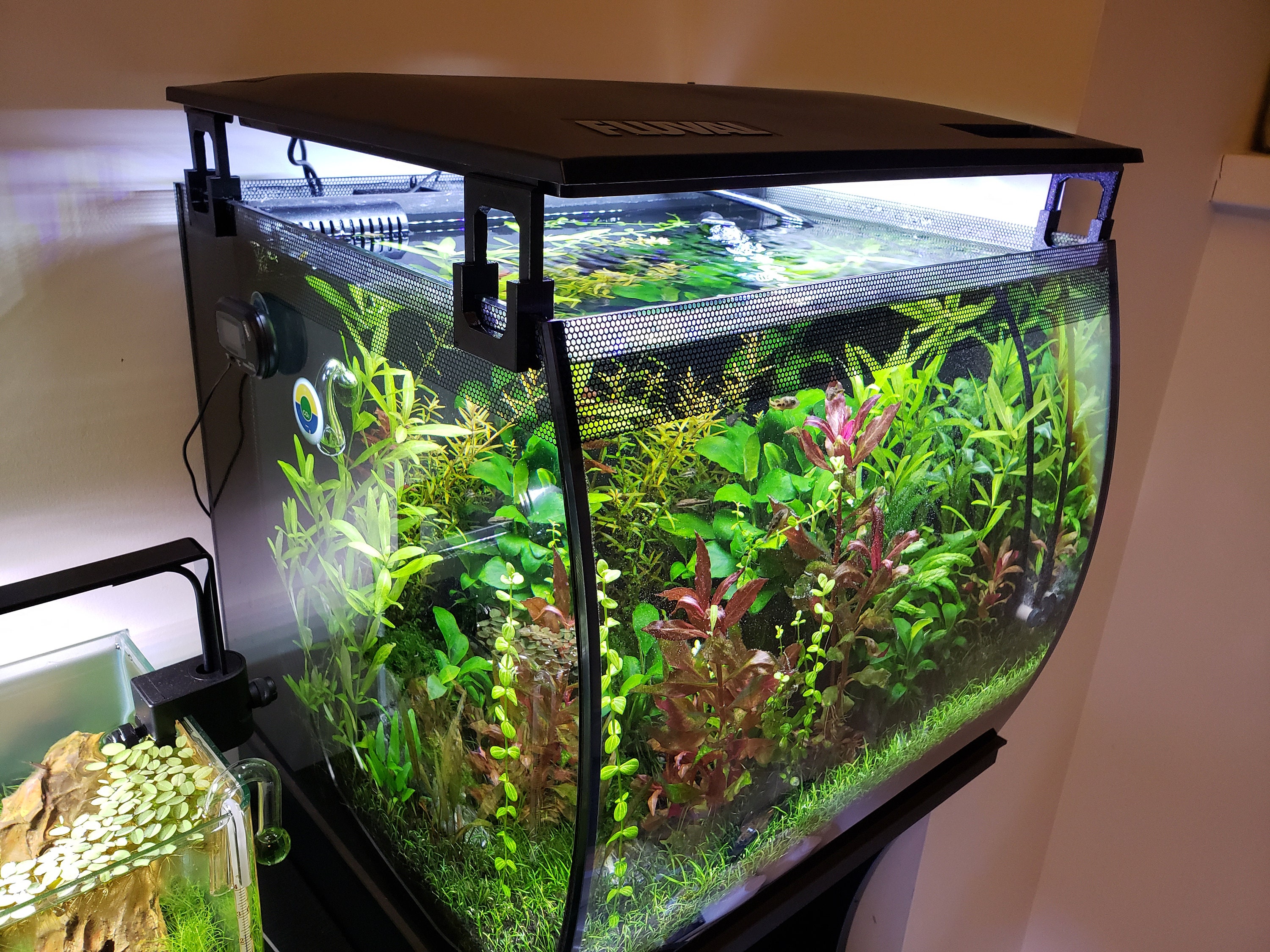 Fluval Corner Tank | escapeauthority.com