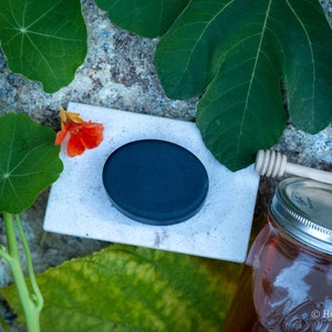 Black Fig and Honey Shampoo Bar - Goat Milk