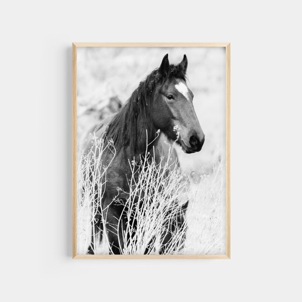 Horse Print Black and White, Sepia Horse Print, Two Options, Farm House Horse Print, Horse Photography, Wild Horse Portrait, Country Decor