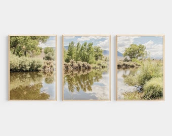 Carson River Print, 3 Piece Set, Digital Download, Wall Art, Rustic Decor, Dayton Nevada, Nature Landscape, Home Decor, Interior Design