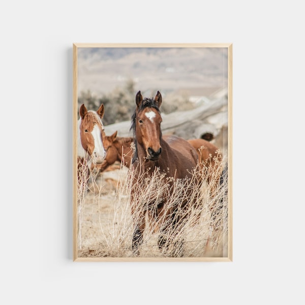 Wild Horses Print, Farmhouse Decor, Majestic Horses Wall Art, Digital Download, Horse Photography, Horse Lovers, Home Decor, Wild Animals