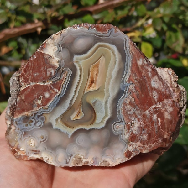 19 Pieces Thunderegg Agate, Blue and Yellow Banded and Inside Botryoidal Thunderegg Agate, Thunderegg Achat, Turkish Thunderegg Agate Pair.