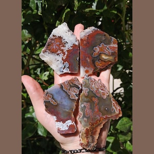 Orange Moss Agate Slabs, Agate Slabs for Lapidary, Metaphysical , Turkish Agate Slab, Lapidary Materials, Cabbing Slabs, Lapidary Stones.