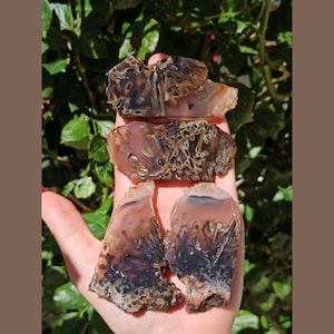 Stick and Banded Agate Slabs, Agate Slabs for Lapidary, Metaphysical, Turkish Agate, Lapidary Materials, Cabbing Slabs, Lapidary Stones.