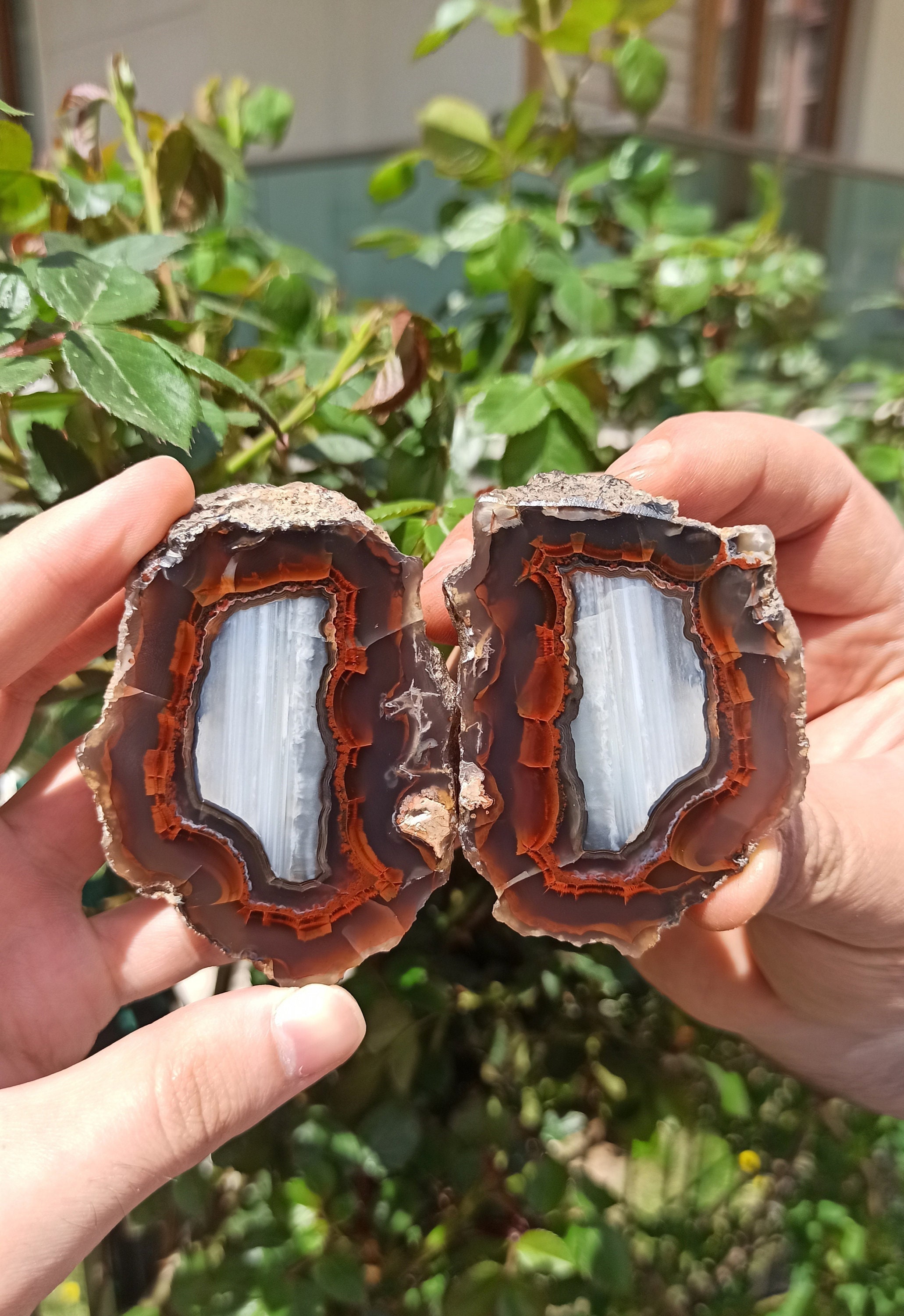Red Black Kentucky Agate - Etsy
