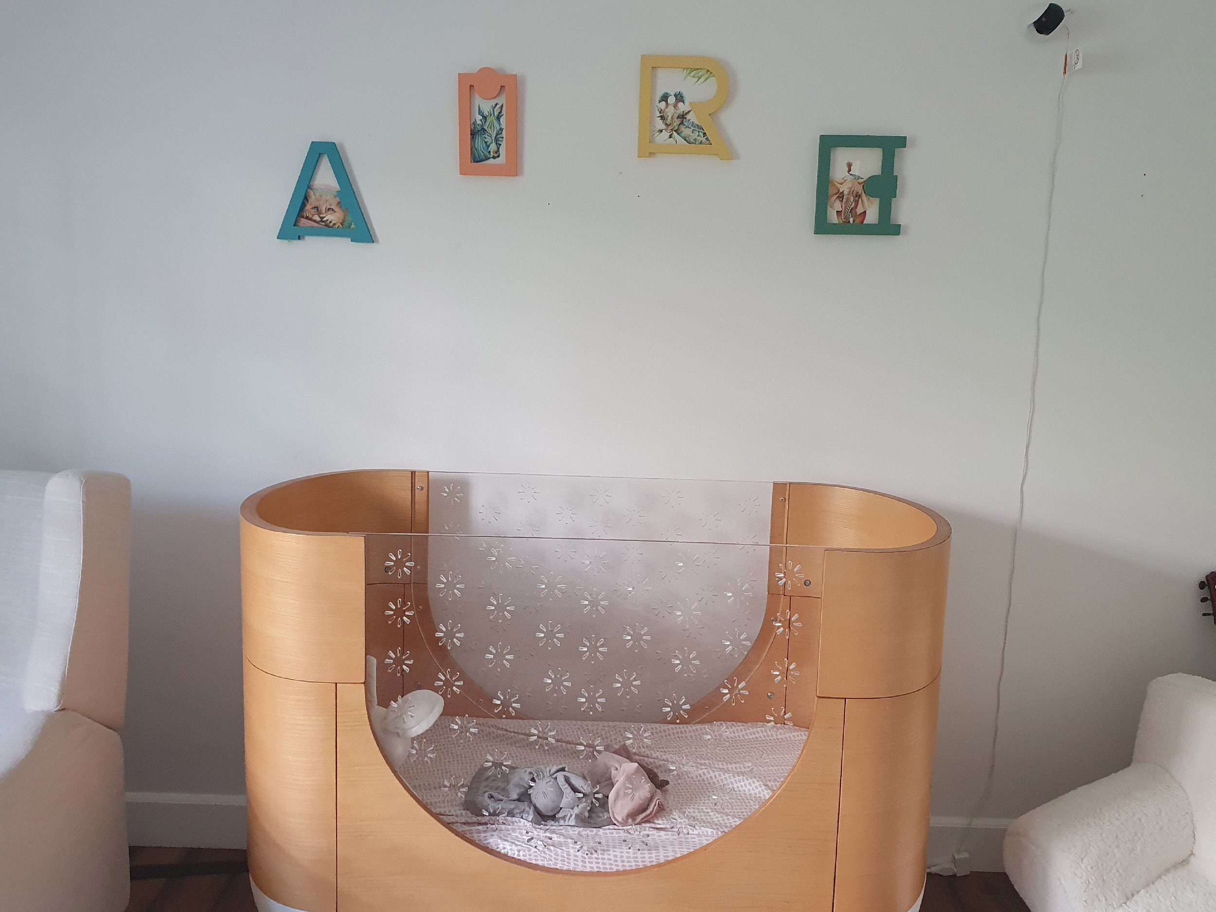Cadre Décoratif Pour Chambre d'enfant .illustration Colorée sur Le Thème Des Animaux.