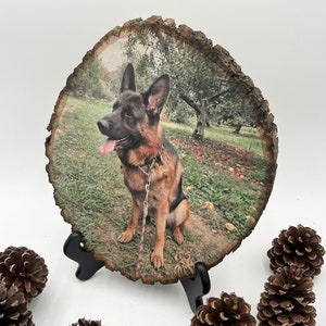 Custom Pet Portrait Print on Wood, Personalized Pet Memorial Gift, Dog Remembrance Gift, Pet Christmas Gift Picture on Wood Portrait Gift