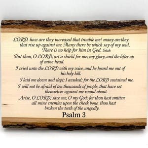 Custom Bible Verse Wall Art, Christian Wall Art, Custom Wood Scripture, Hanging Frames, Custom Bible Verse Sign, Psalm 3 Bible Verse Print