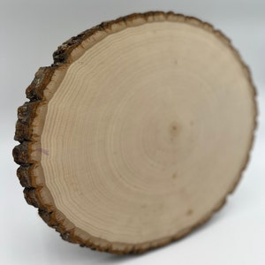May include: A circular wood slice featuring a light beige, smooth sanded surface with visible concentric growth rings. The outer edge retains a textured, dark brown natural bark layer, showcasing the raw, organic cross-section of a tree trunk.