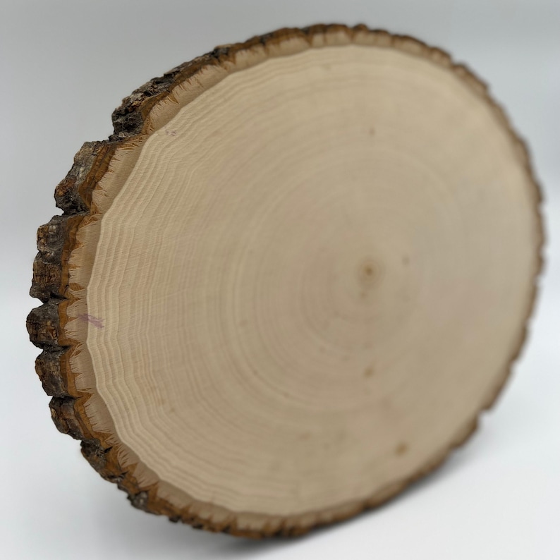 May include: A circular wood slice featuring a light beige, smooth sanded surface with visible concentric growth rings. The outer edge retains a textured, dark brown natural bark layer, showcasing the raw, organic cross-section of a tree trunk.
