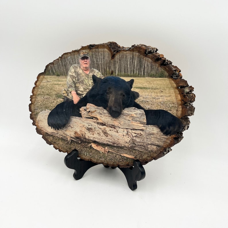May include: A natural wood slice plaque featuring a printed photograph of a person in camouflage clothing sitting behind a large black bear resting its head on a fallen log. The plaque has a rough, bark-covered edge and rests on a black stand.