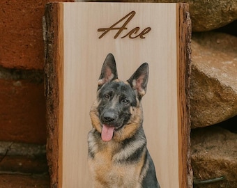 Op de afbeelding: Houten plaquette met een portret van een Duitse herdershond, met de naam "Ace" in bruin schrift. De hond heeft zwart en bruin haar, met zijn tong uit. De plaquette heeft een natuurlijke houtnerf achtergrond en schorsranden.
