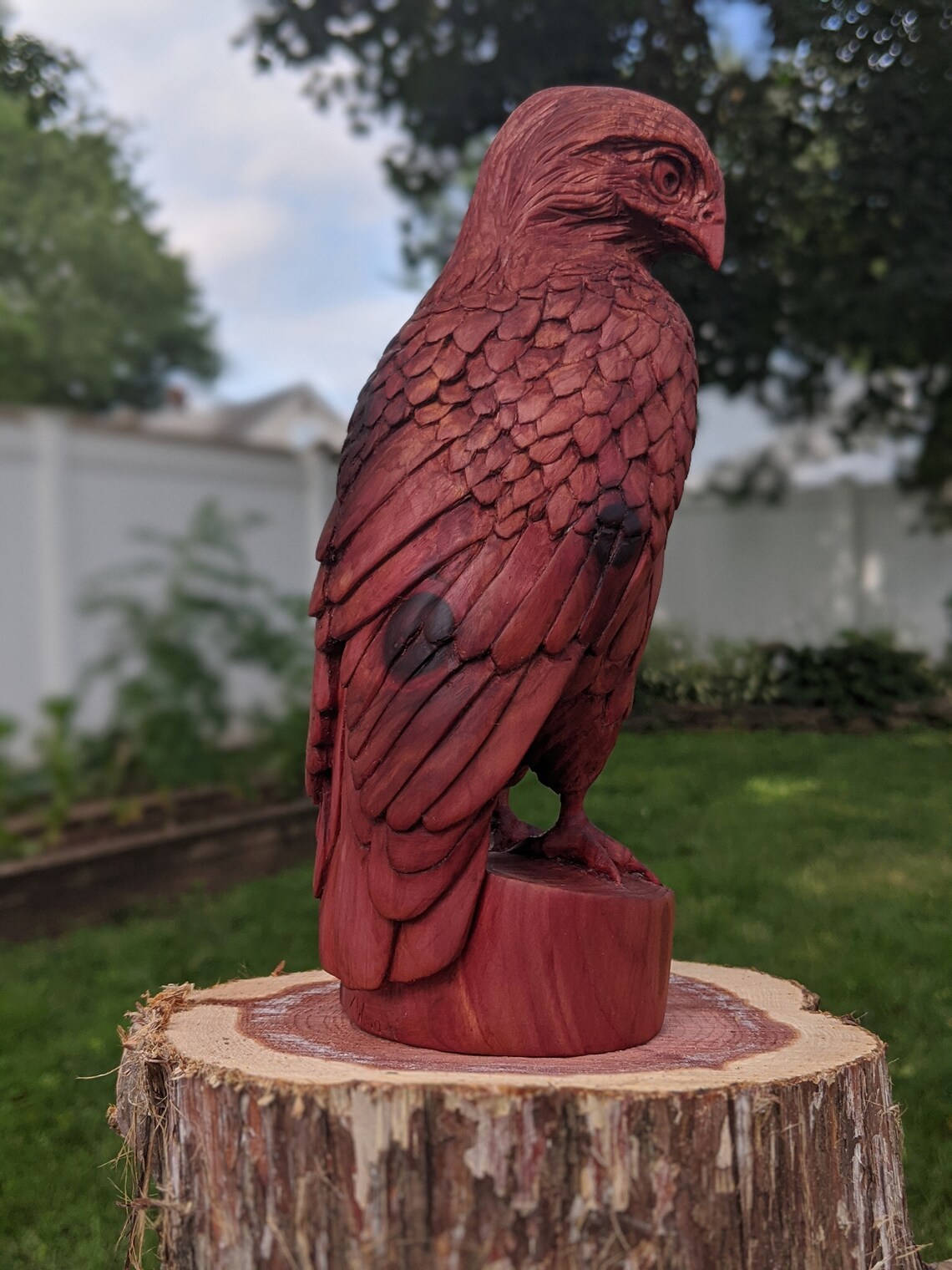 Red Tailed Hawk Wood Carving Etsy