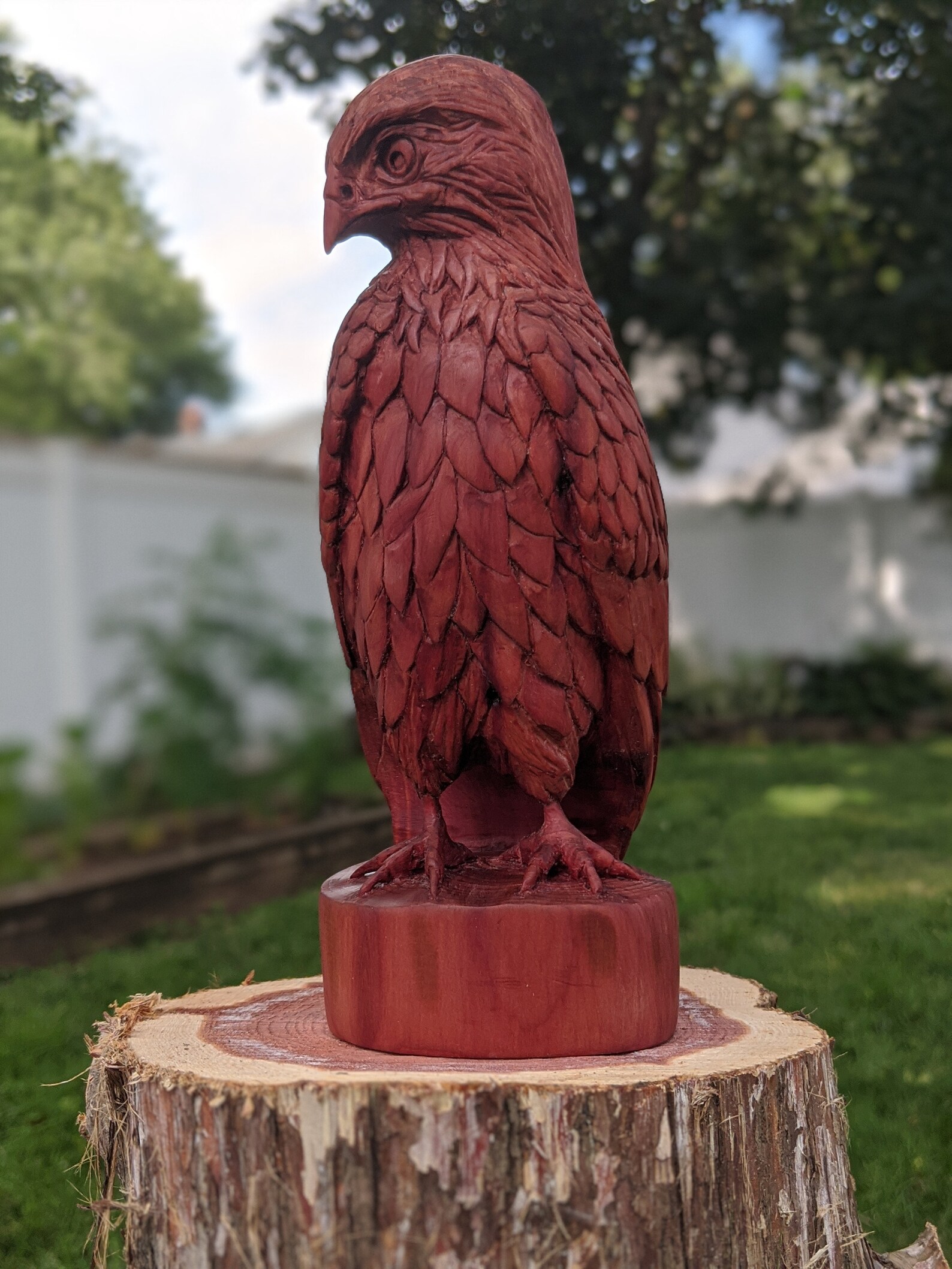 Red Tailed Hawk Wood Carving Etsy
