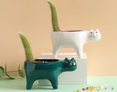 Kitten Ceramic Succulent Pots with Drain Hole Mini Pots for Plants Cactus Plants Containers for Home and Office Decoration Cat plant holder