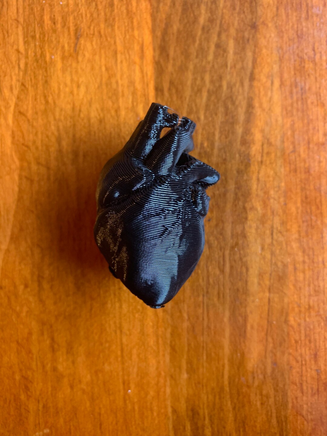 3D Printed Anatomical Heart Keychain Anatomy Nursing RN Etsy