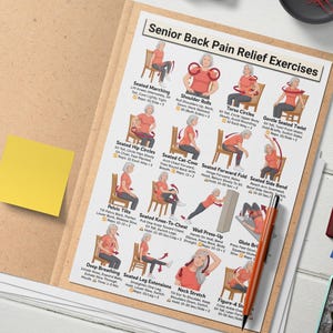 Back Pain Relief Exercises For Seniors, Lower Back Workout For Seniors, Chair Yoga Poster for Older Men, No Equipment Seated Exercise Chart image 13