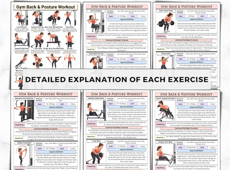Gym Back & Posture Workout Poster, Cable and Dumbbell Upper and Lower ...
