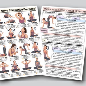 Puede incluir: Dos hojas blancas impresas con ilustraciones y texto que detallan los ejercicios de estimulaci&oacute;n del nervio vago. Las hojas incluyen instrucciones para varios ejercicios de respiraci&oacute;n y posturas, como el estiramiento gato-vaca y la respiraci&oacute;n por las fosas nasales.
