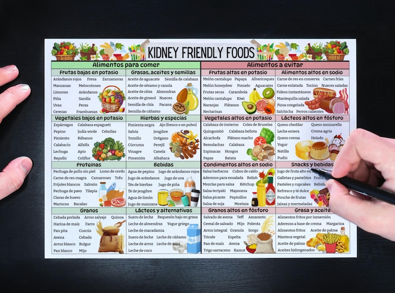 Puede incluir: Un gr&aacute;fico colorido con el t&iacute;tulo "Kidney Friendly Foods" en espa&ntilde;ol. El gr&aacute;fico enumera los alimentos para comer y evitar para la salud renal, categorizados por frutas, verduras, prote&iacute;nas, granos y m&aacute;s. El gr&aacute;fico incluye im&aacute;genes de varios alimentos.