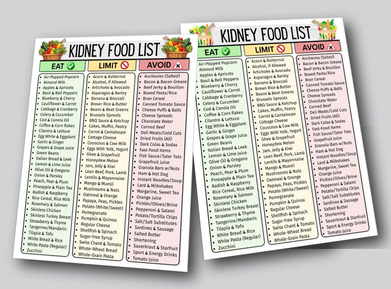 May include: Two printed sheets listing foods to eat, limit, and avoid for a kidney-friendly diet. The lists are categorized with green, yellow, and red headers, respectively, and include various food items.