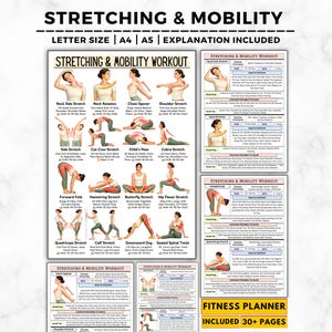 Esercizi di stretching e allenamento per la mobilità, tabella di stretching per tutto il corpo stampabile, routine quotidiana di flessibilità, poster per esercizi di stretching da fare a casa
