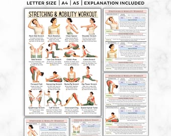 Stretching Exercises & Mobility Workout, Full Body Stretch Chart Printable Guide, Daily Flexibility Routine, Home Stretches Workout Poster