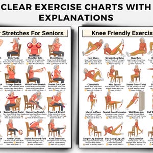 May include: Two white instructional posters titled Clear Exercise Charts With Explanations. The left chart shows Chair Stretches For Seniors, and the right chart shows Knee Friendly Exercises, both featuring illustrations of a person in a red shirt.