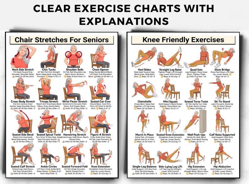 May include: Two white instructional posters titled Clear Exercise Charts With Explanations. The left chart shows Chair Stretches For Seniors, and the right chart shows Knee Friendly Exercises, both featuring illustrations of a person in a red shirt.