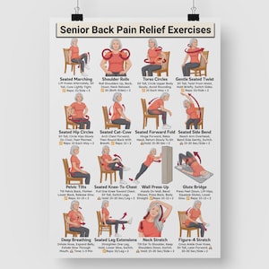 Back Pain Relief Exercises For Seniors, Lower Back Workout For Seniors, Chair Yoga Poster for Older Men, No Equipment Seated Exercise Chart image 9