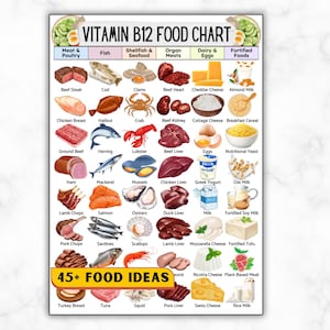 May include: A Vitamin B12 Food Chart poster featuring 45+ food ideas categorised into columns for meat, poultry, fish, seafood, organ meats, dairy, eggs, and fortified foods. Each food item is illustrated with its name printed underneath.