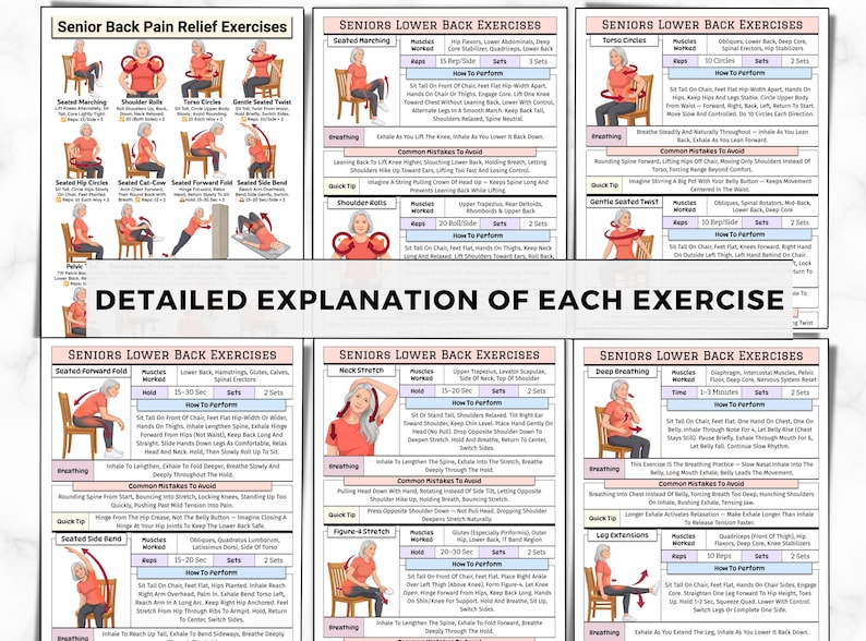 Back Pain Relief Exercises For Seniors, Lower Back Workout For Seniors, Chair Yoga Poster for Older Men, No Equipment Seated Exercise Chart image 3