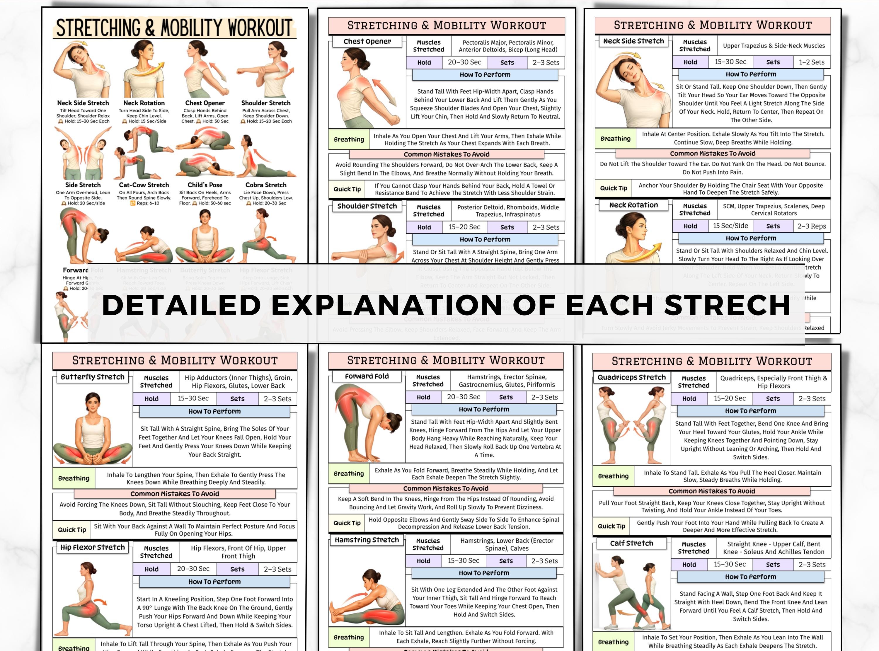 Standard Flexibility Stretching Routine Stretching Exercises & Mobility Workout, Full Body Stretch Chart ...