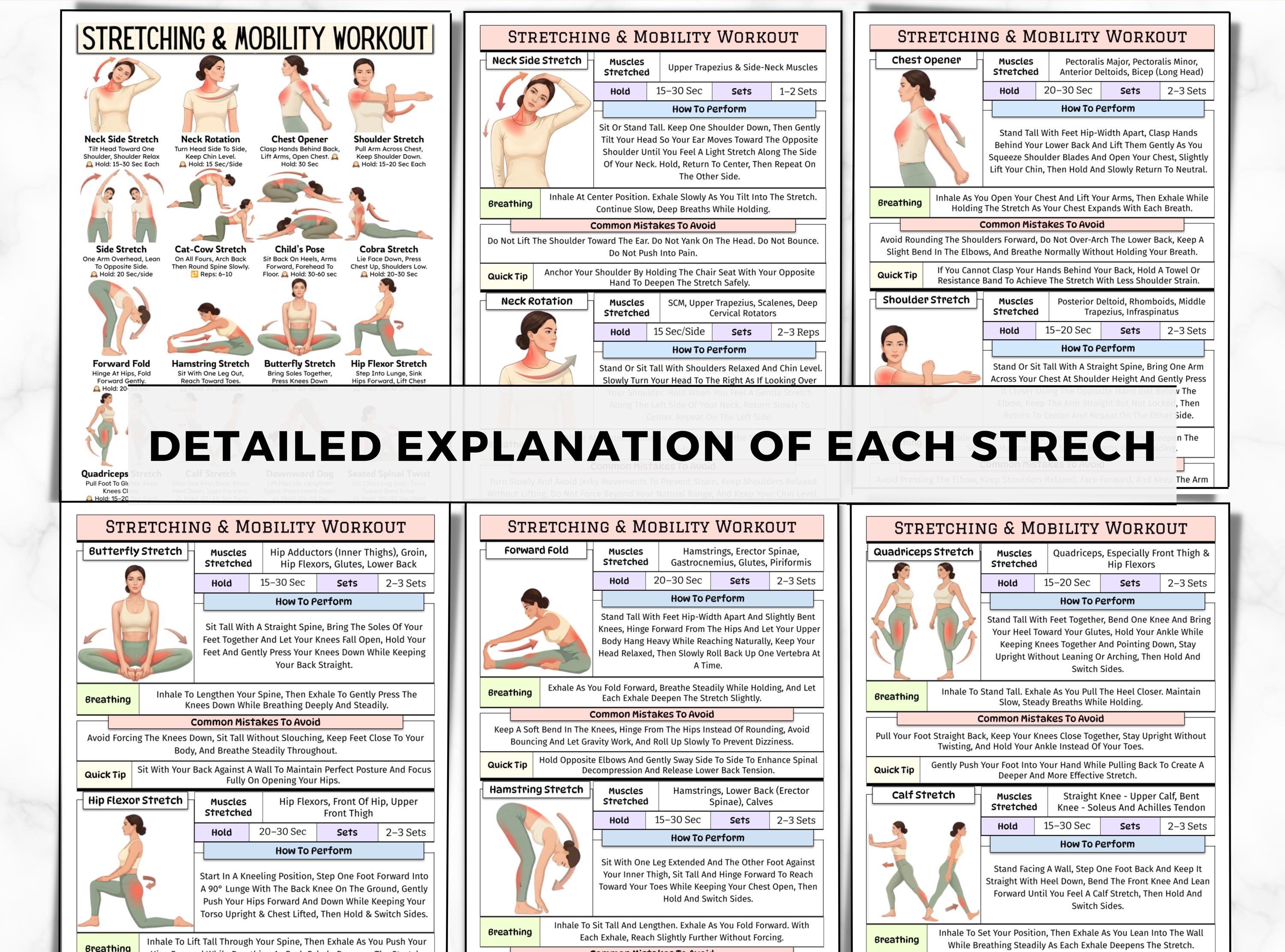 Print Off Stretching Routine Full Body Stretching Exercises Poster, Mobility Workout Guide, Daily ...