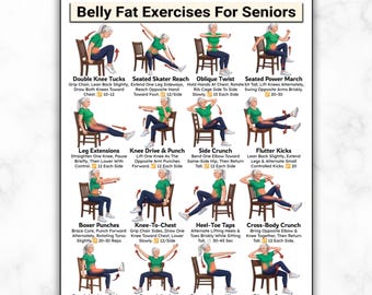 Belly Fat Exercises For Seniors, Low Impact Gentle Core Workout Chart For Older Adults, Home Fitness Guide, Chair Exercise Visceral Fat Loss