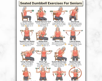 Seated Dumbbell Exercises For Seniors, Chair Workout Chart For Older Adults Low Impact Strength Training Home Exercise Routine Printable PDF