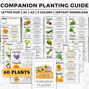 Gids voor het beplanten van gezelschapsdieren, Tuinplanner, Gezelschapsplant, Tuindagboek, Tuinplanningsgrafiek, Tuinorganisator, Gezelschapsbeplantingsgrafiek
