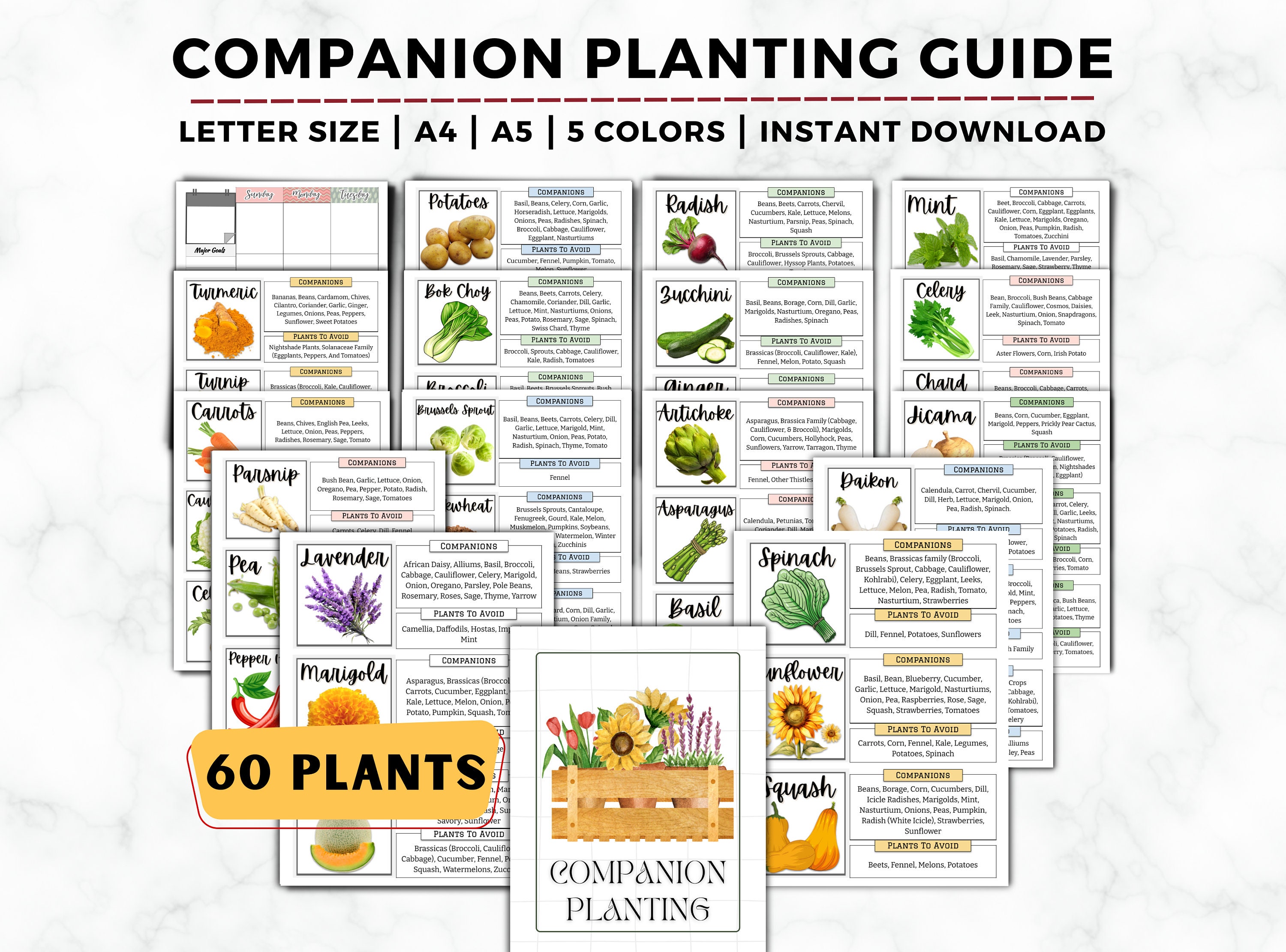 特価品セ Guide, Planting Companion Garden Plant Companion Planner, 洋書