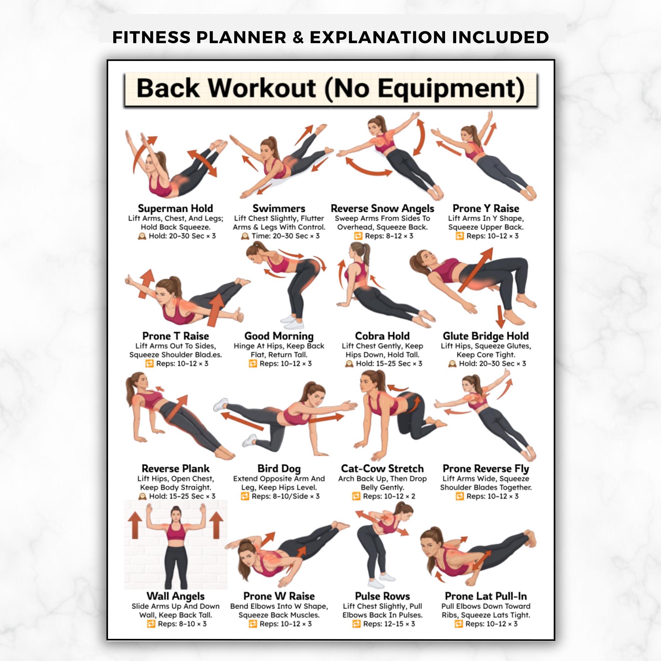 Back Exercises No Equipment Chart, Bodyweight Upper & Lower Back ...
