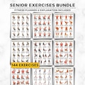 Senior Exercise Bundle Printable, 9 Workout Charts, 144 Gentle Exercises, Low Impact Moves For Elderly, Stretching Dumbbell Resistance Band product logo