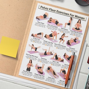 May include: A printed chart titled "Pelvic Floor Exercises For Women" with illustrations of various exercises. The chart is in a brown folder with a yellow sticky note. A pen and a maroon notebook are also visible.