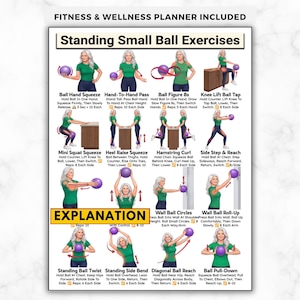Standing Small Ball Exercises For Seniors, Mini Ball Workout Poster Low Impact Elderly Balance Strength Mobility Routine Older Adult Fitness