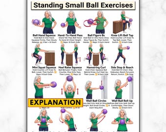 Standing Small Ball Exercises For Seniors, Mini Ball Workout Poster Low Impact Elderly Balance Strength Mobility Routine Older Adult Fitness